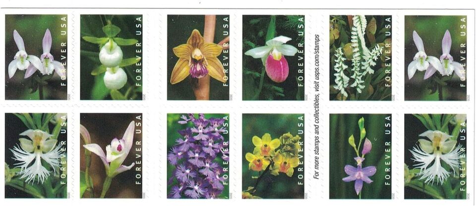 Wild Orchids 2019 Forever Stamps Sheets Stamp Booklets