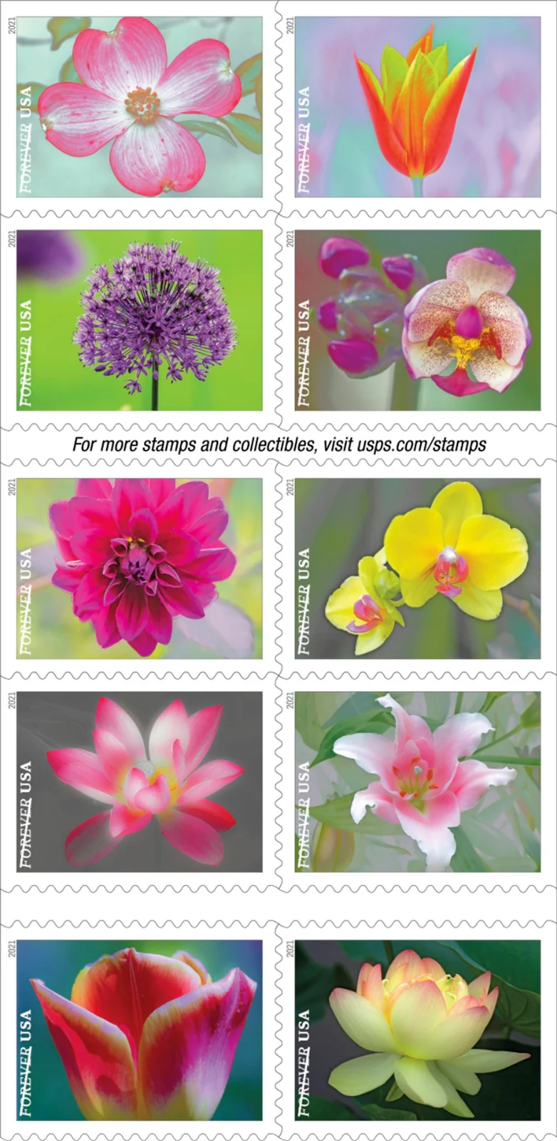 Garden Beauty 2020 Forever Stamps Sheets Stamp Booklets