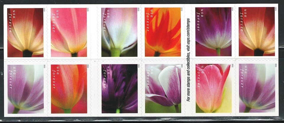 Tulip Blossoms 2022 Forever Stamps Sheets Stamp Booklets