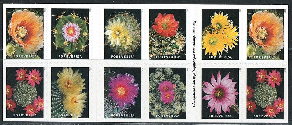 Cactus Flowers 2018 Forever Stamps Sheets Stamp Booklets